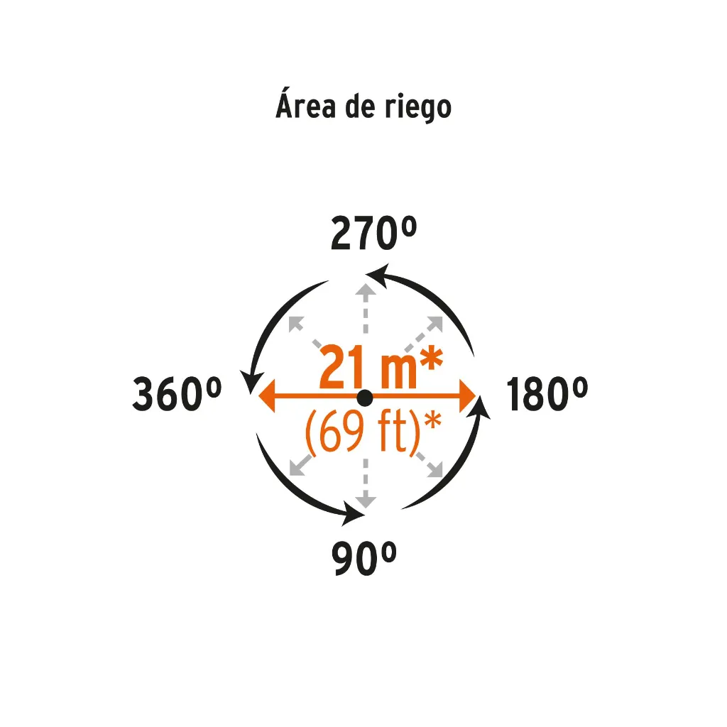 DOS+D1.webp