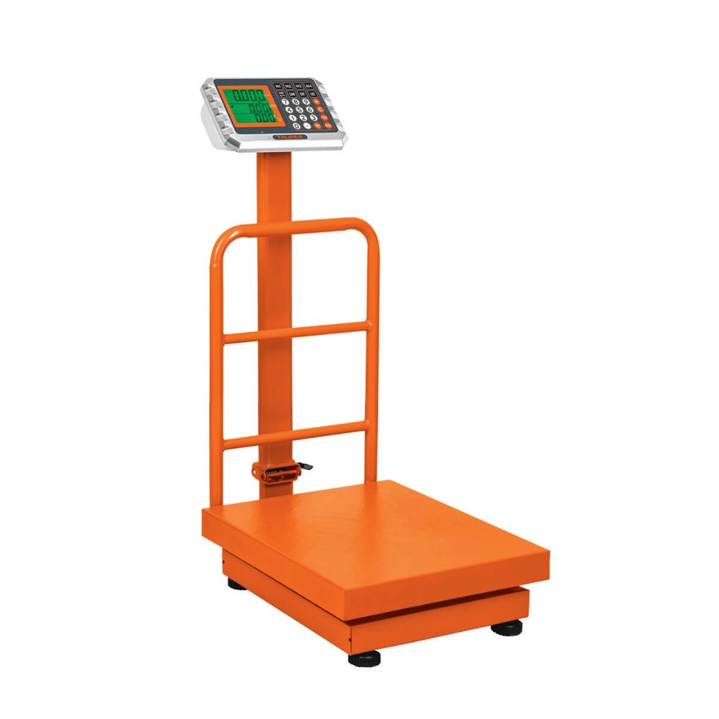 [15732] BÁSCULA DE PLATAFORMA PLEGABLE- 200 KG