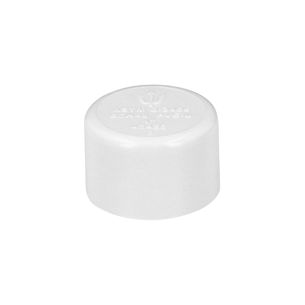 [45425] TAPÓN DE PVC 1 PLG. FOSET
