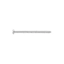 TORNILLO BUSCA ROSCA 3*10 48728 VENTA POR CIENTO Y UNIDAD